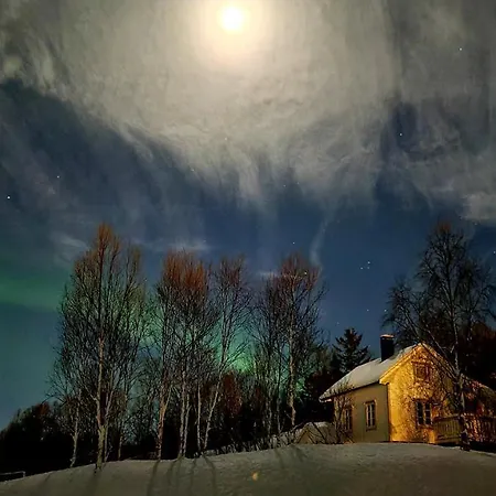 Magic On Senja, Atmosphere Like A Fairytale *